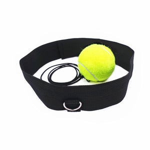 Boxing Speed Ball