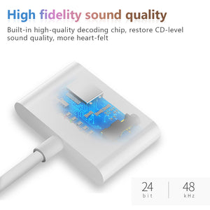 2 in 1 Lighting iPhone Charger