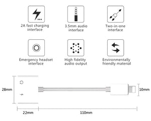 2 in 1 Lighting iPhone Charger