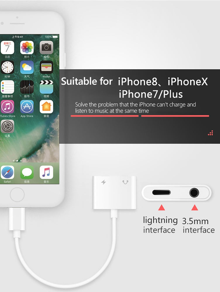 2 in 1 Lighting iPhone Charger