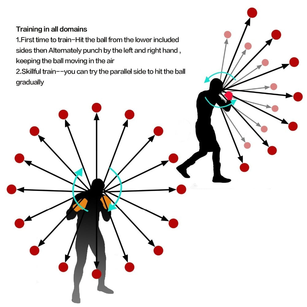 Boxing Speed Ball