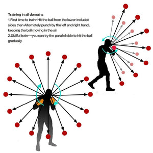 Boxing Speed Ball