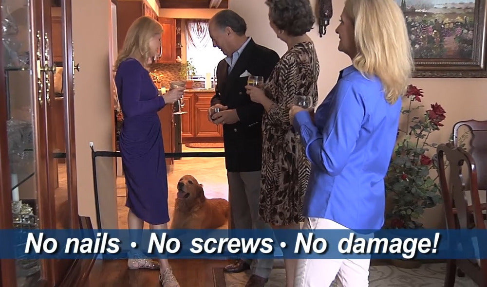 Portable Mesh Dog Gate