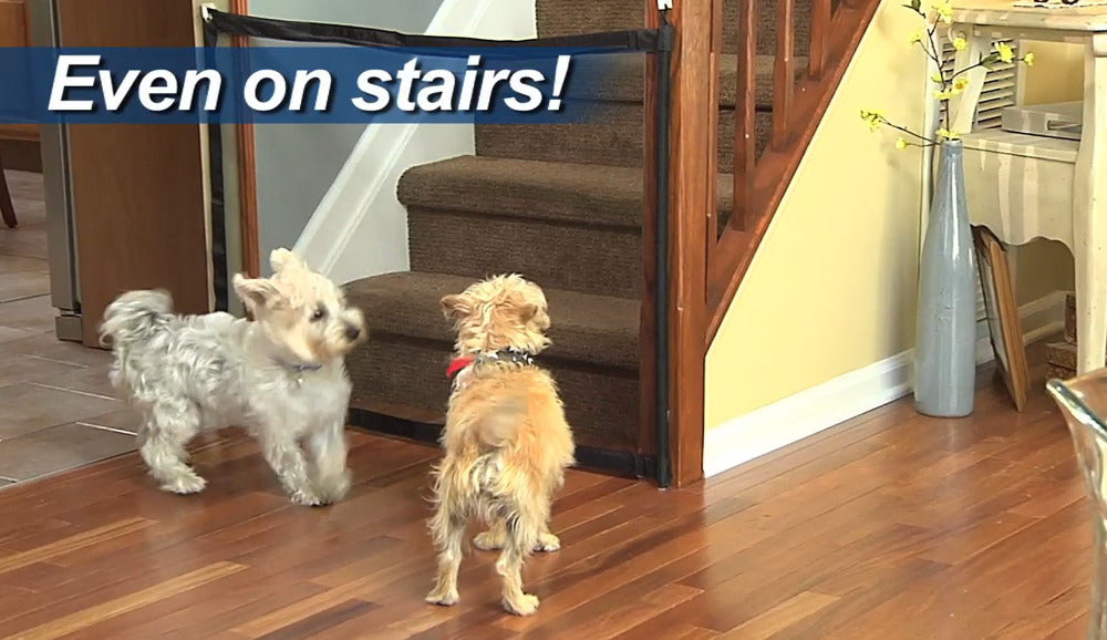 Portable Mesh Dog Gate