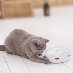 Interactive Cat Teasing Toy