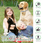 Anti-Flea & Tick Dog Collar