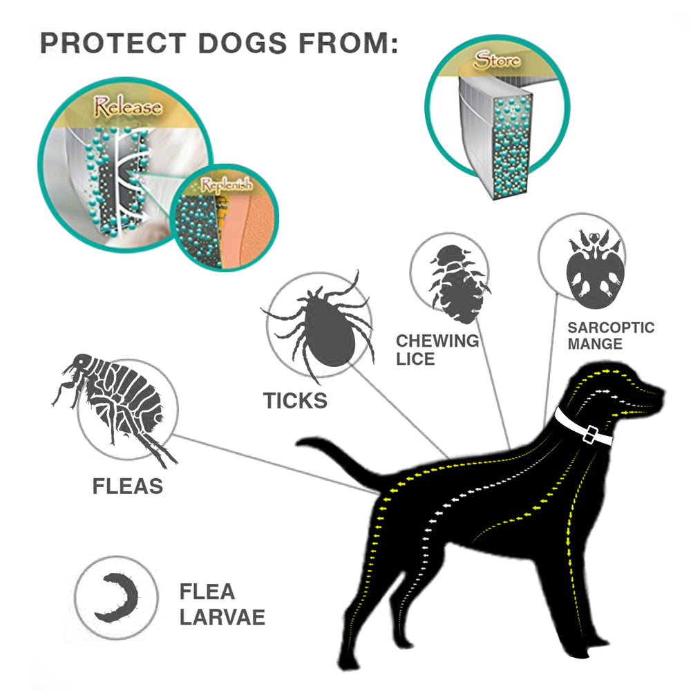 Anti-Flea & Tick Dog Collar