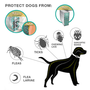 Anti-Flea & Tick Dog Collar