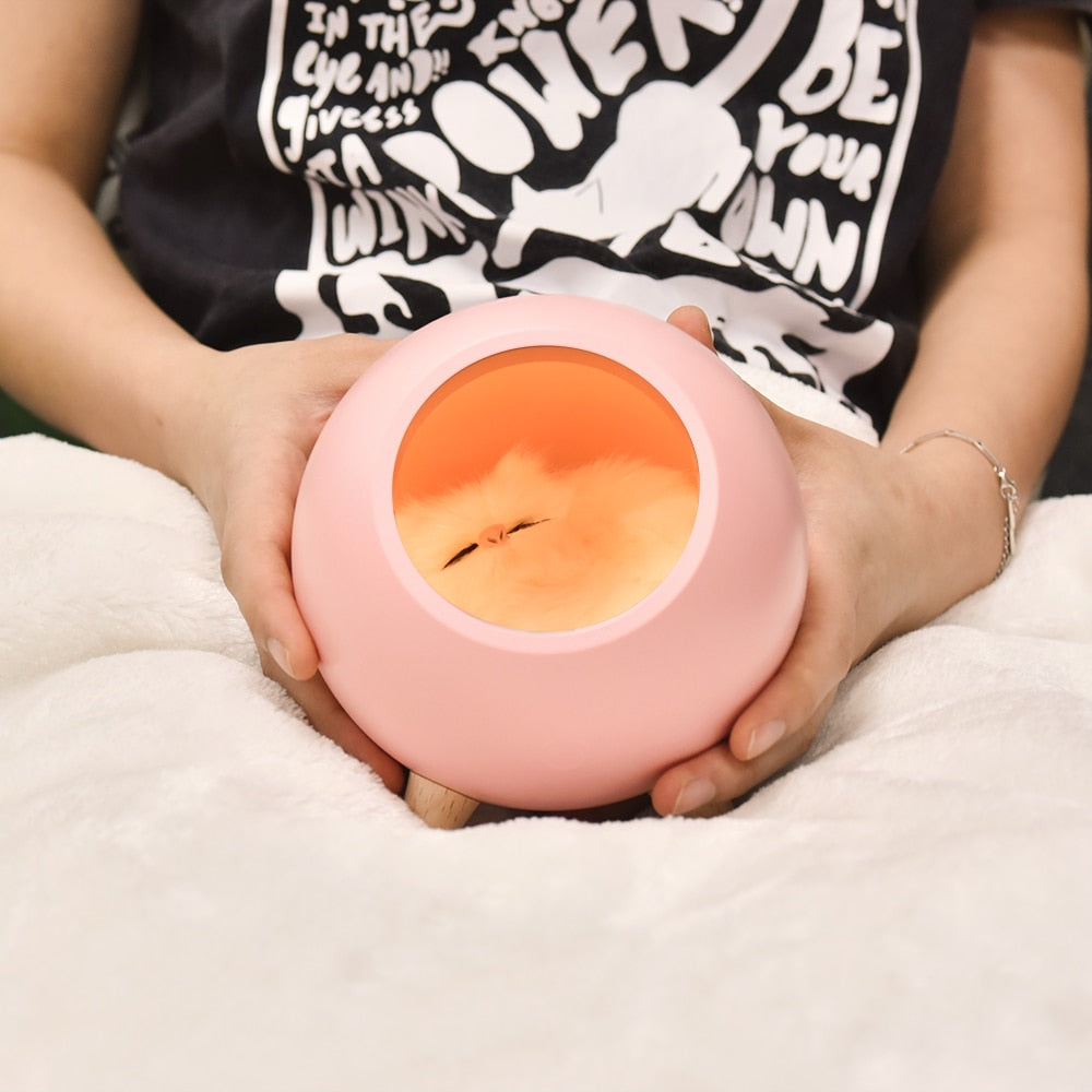 Touch Control Cat Light