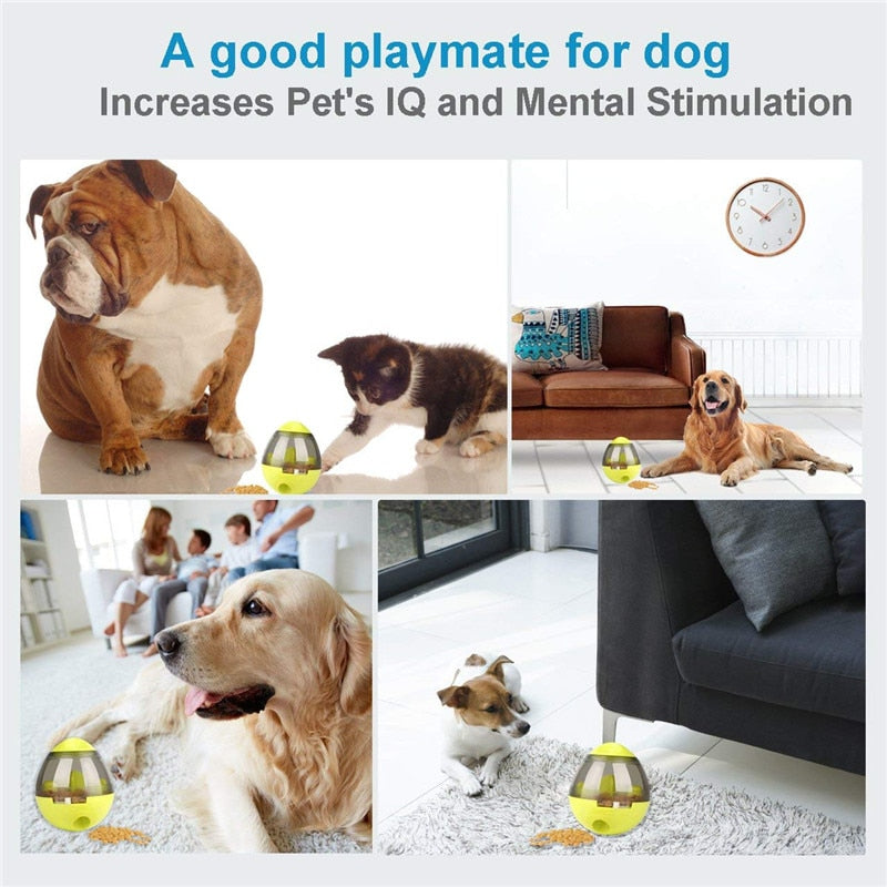 Interactive IQ Dog Treat Dispenser