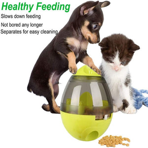 Interactive IQ Dog Treat Dispenser