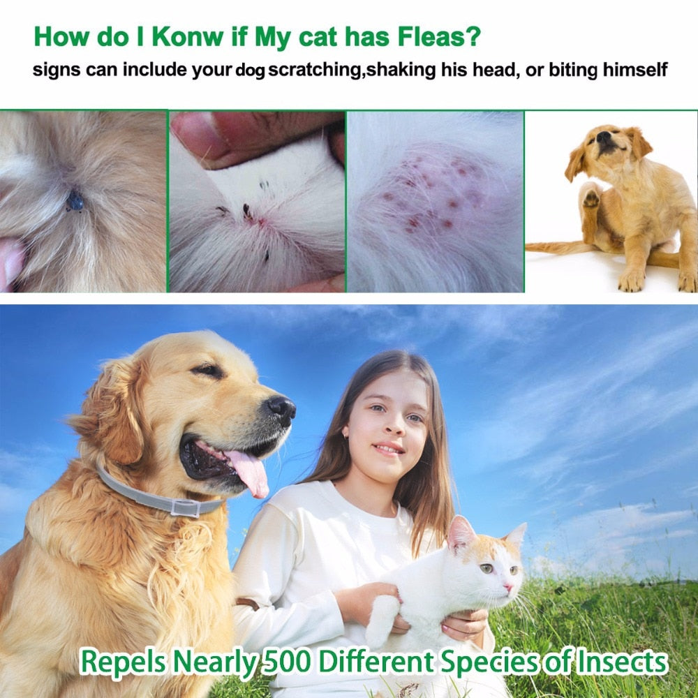 Anti-Flea & Tick Dog Collar