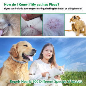 Anti-Flea & Tick Dog Collar