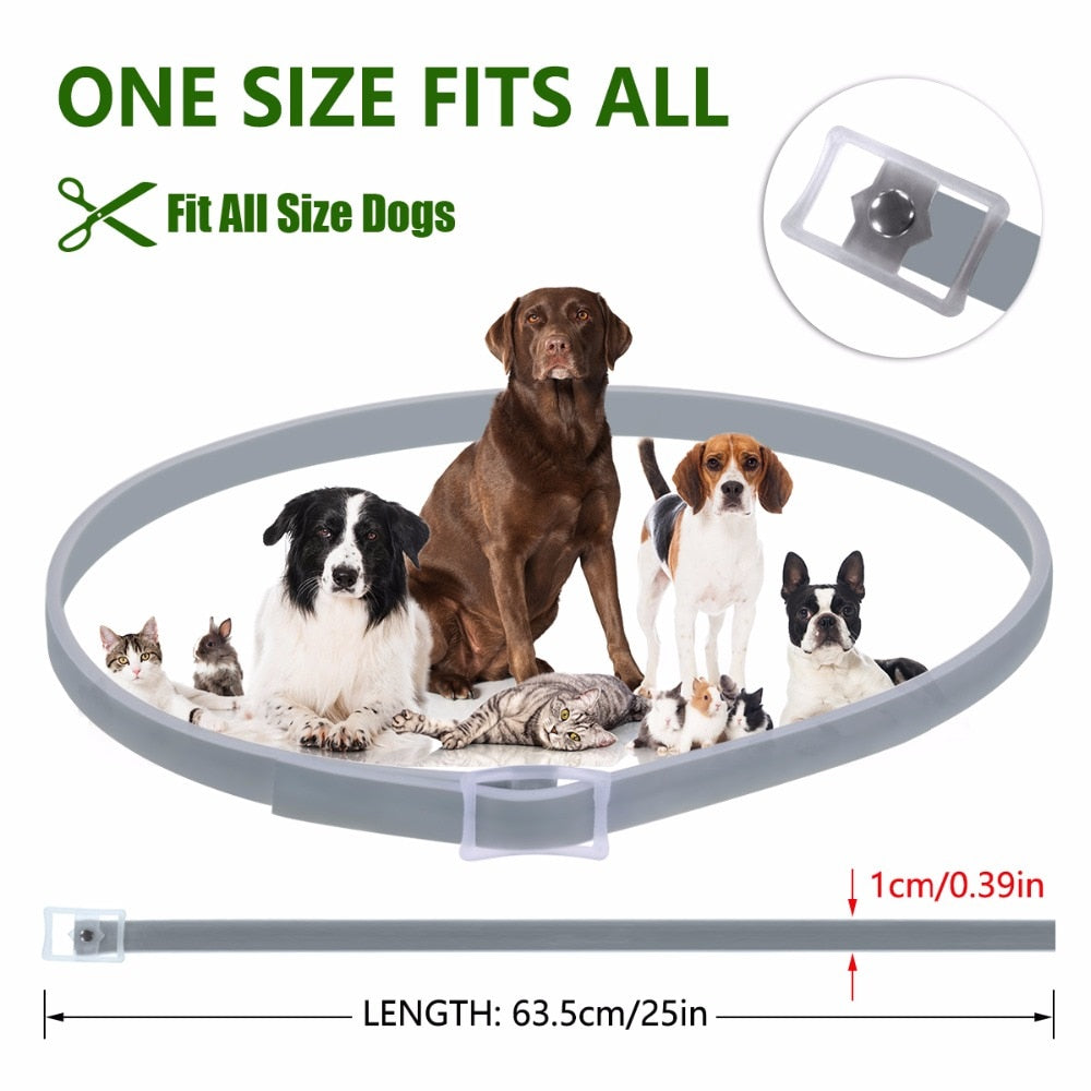 Anti-Flea & Tick Dog Collar