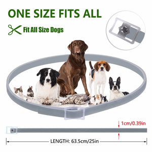 Anti-Flea & Tick Dog Collar