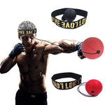 Boxing Speed Ball
