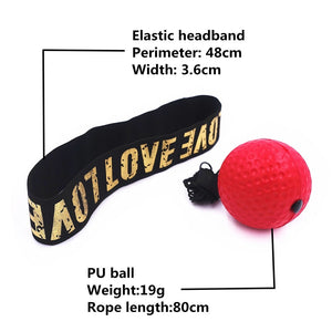 Boxing Speed Ball