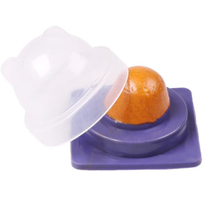 Healthy Cat Snacks