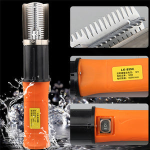 Electric Fish Scaler