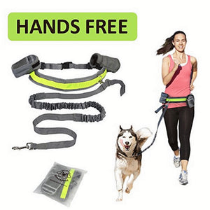 Pet Jogging Hands Free Leash